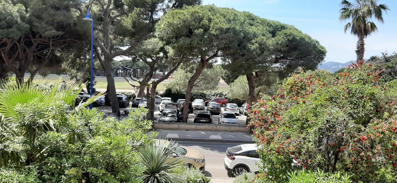 Les Iles D'Or Au Port De Hyeres Grand Studio Climatise מראה חיצוני תמונה